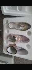 Lena Liu's Fancy Shoes