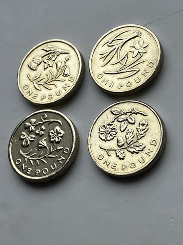 One pound coins floral - £1,