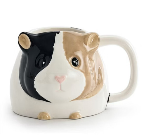 Guinea pig supper cute - pig,