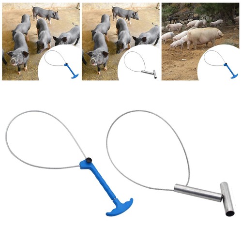 Pig catcher pole sturdy heavy - pole,