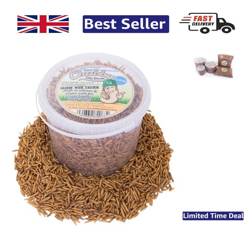 Dried calci worms for - dried, 3l