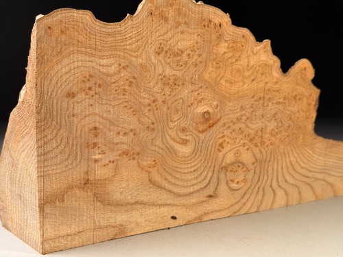 Amazing live edge burr elm - amazing,