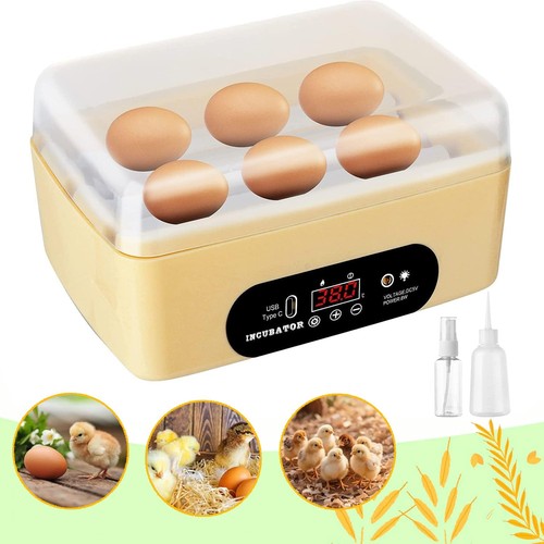 Egg incubator incubators for - egg,
