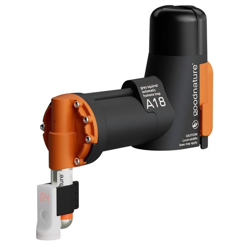 Goodnature a18 grey squirrel - goodnature,