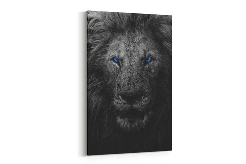Majestic lion framed - framed, canvas