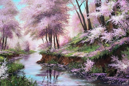 Large spring cherry tree