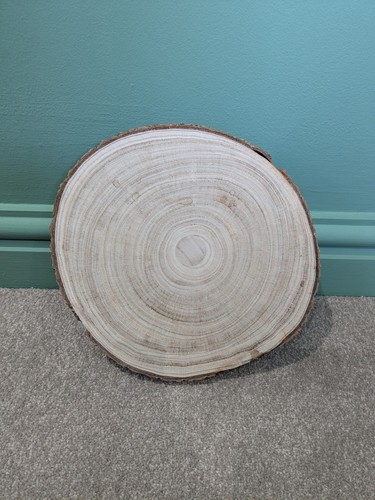 Natural wood slices discs - slices, tree