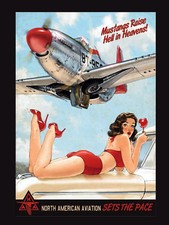 METAL VINTAGE SHABBY-CHIC TIN