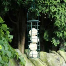 Suet Fat Ball Feeder Wild