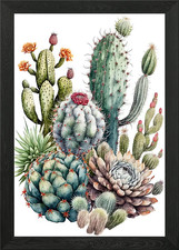 Cactus Garden Watercolor 1