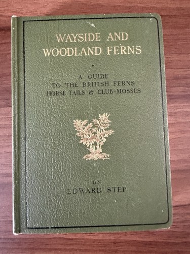 Wayside woodland ferns - wayside, &