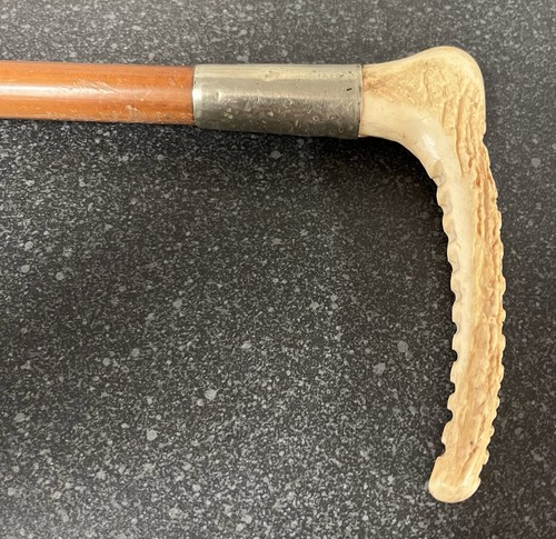 Vintage malacca cane - malacca,