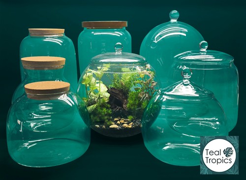 Clear glass jars and glasses - glass,