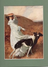 ~ Greyhounds ~  by  Charles