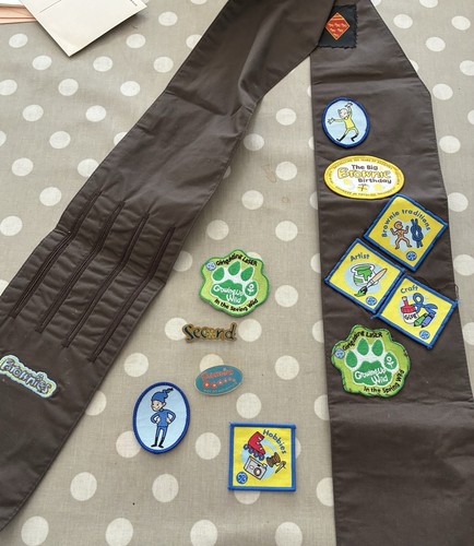 Brownie badge sash girl 2014 - badge,