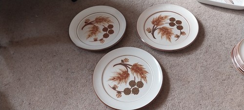 Vintage denby cotswold dinner - vintage,