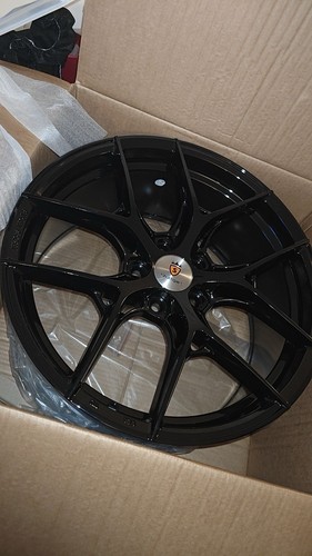 Stuttgart sf13 gloss - sf13,