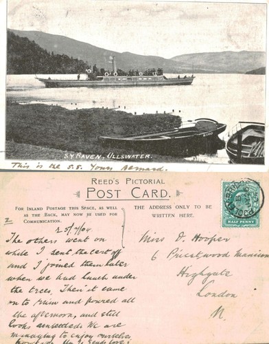 Vintage postcard y raven - vintage, s.y.