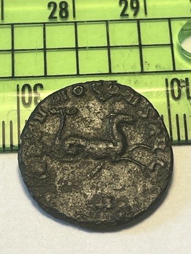 Roman coins gallienus animal - roman,