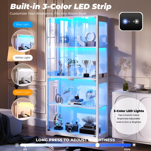 Display case with - 67",