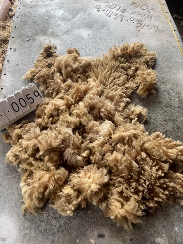 Portland raw unwashed - portland,