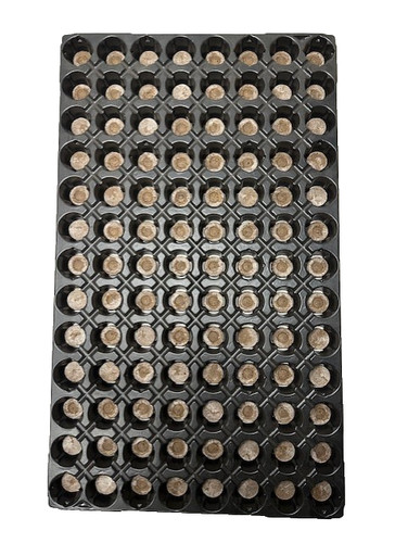 Jiffy 20mm peat - jiffy-7,