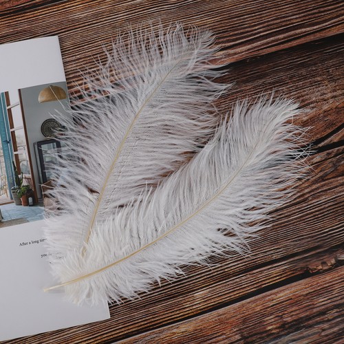10pcs white ostrich feathers - white,