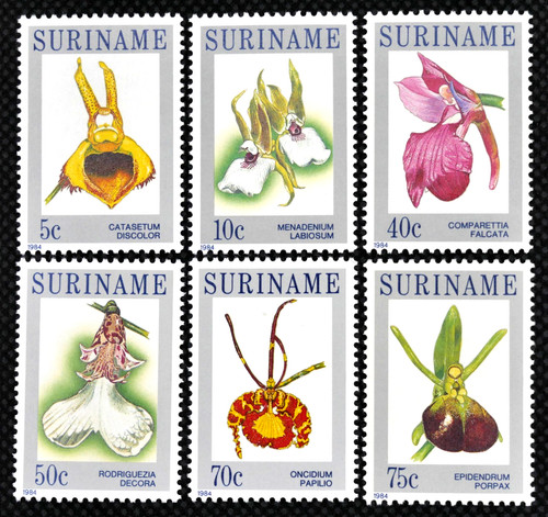 Suriname 1983 flowers - suriname,