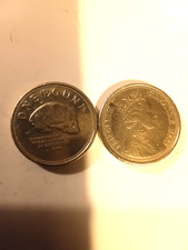 DISCOVERY OF NEANDERTHAL SKULL