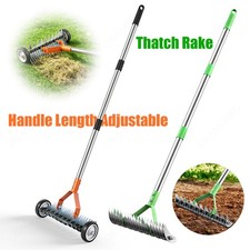 Lawn Thatch and Moss Removal