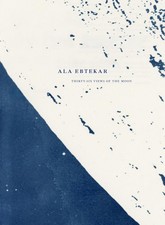 Ala Ebtekar: Thirty-Six Views
