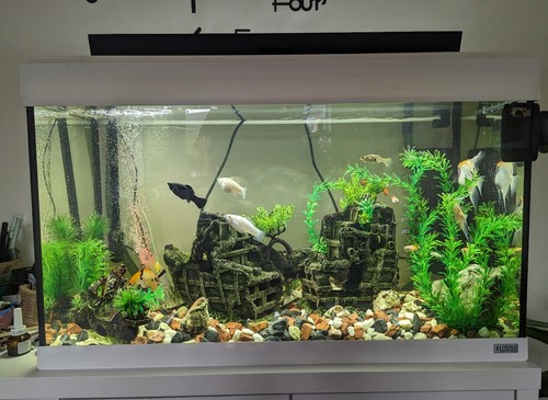 Fluval roma 200 litre fish - roma,