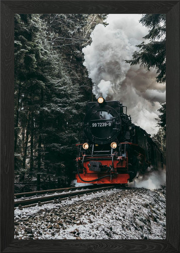 Steam train snowy forest - steam, in