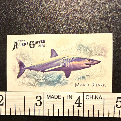 Topps 2025 allen - 2025, &