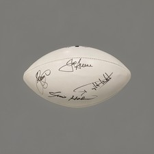 Pittsburgh Steelers STEEL
