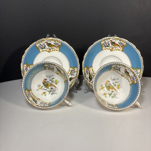 Plant tuscan bone china - bone, cup