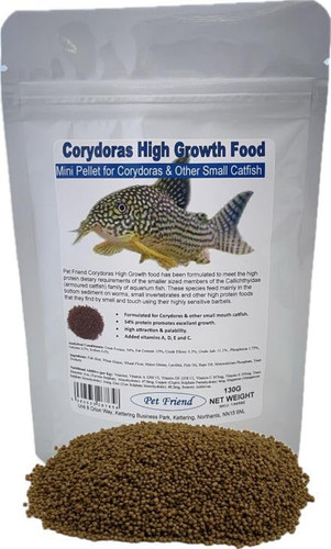 Corydoras catfish high - catfish, growth