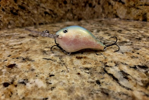 Custom painted rapala 8 - custom,