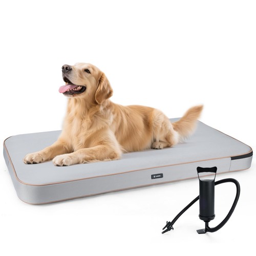 Portable inflatable travel dog - travel,