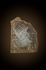 Ancient Egyptian Stone