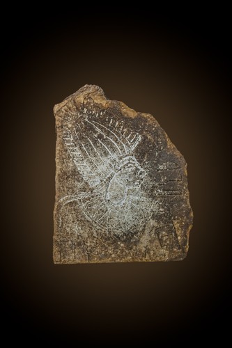 Ancient egyptian stone - egyptian,