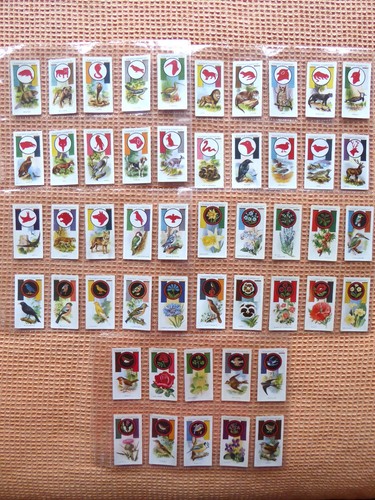 Vintage player boy scout - vintage,