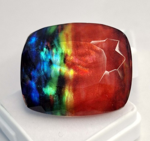 Ammolite opal like organic - ammolite,