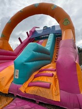 Jumbo Inflatable Slide