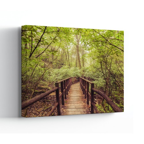 Wooden bridge canvas print - bridge,