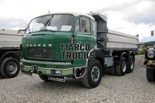 Truck Photo Saurer DF 6x4 Tipper Switzerland Green Summer Transport Zollbrück #i2yx