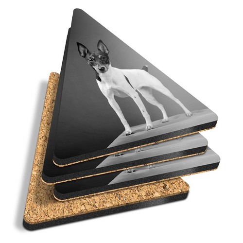 Triangle coasters bw - coasters,