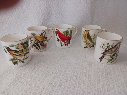 Royal tuscan audobon birds - audobon,