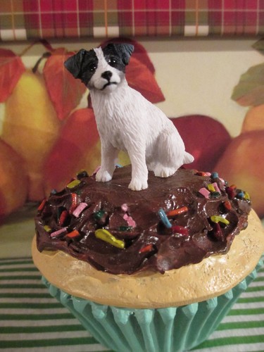Jack russell black white - black, &