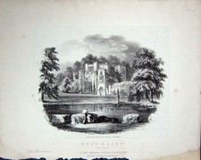 Original Old Antique Print
